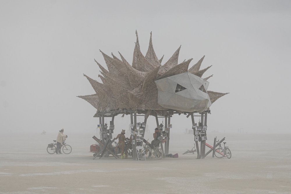 Image of the hedgehog used at Burning Man.